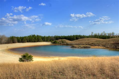 Beach And Lake In The Black River Forest Image Free Stock Photo
