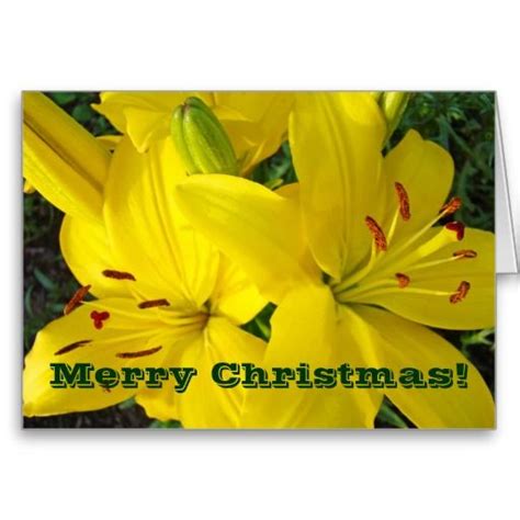 Merry Christmas Cards Yellow Lily Flowers Holidays Lily Flower