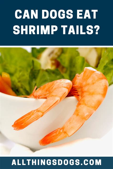 To conclude, can cats eat shrimp, we would say that yes they cat eat shrimp in a moderate amount as they are healthy enough. Can Dogs Eat Shrimp Tails in 2020 | Dog eating, Can dogs ...