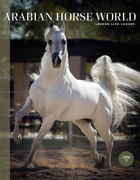 Arabian Horse World Magazine Digital Subscription Discount