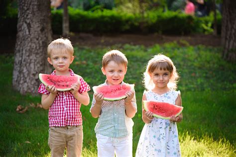 Funny Kids Eating Watermelon Outdoors In Summer Park Stock Photo