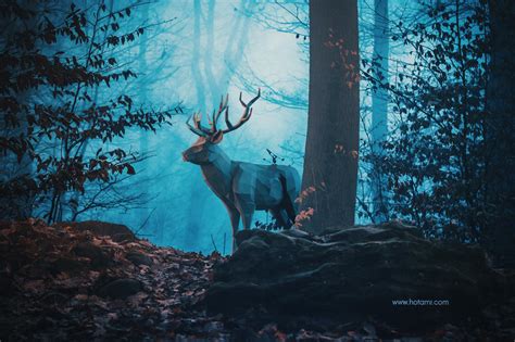 Blue Forest By Hotamr On Deviantart