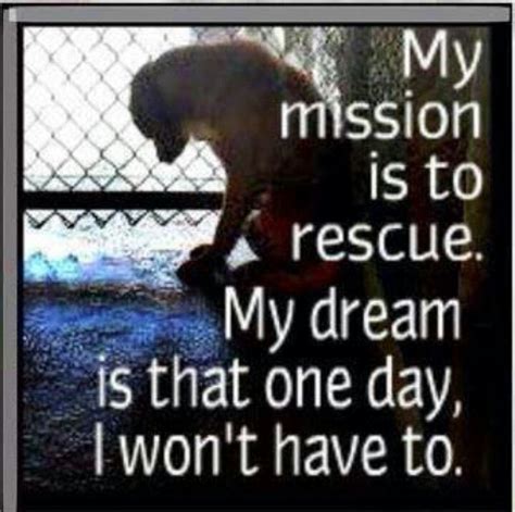 Lets Hope So Rescue Quotes Animal Rescue Pitbull Quotes
