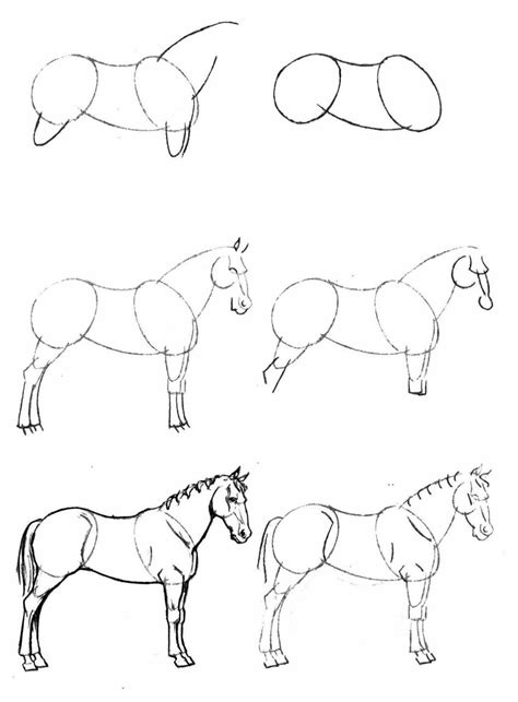 Comment Dessiner Un Cheval Facilement Etape Par Etape Pour Debutant