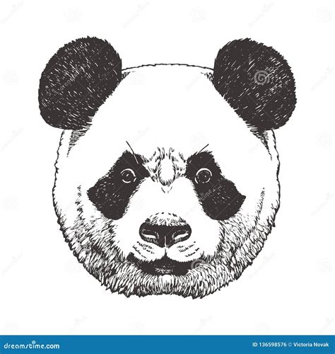 Portrait Of Panda Hand Drawn Illustration Vector Stock Vector