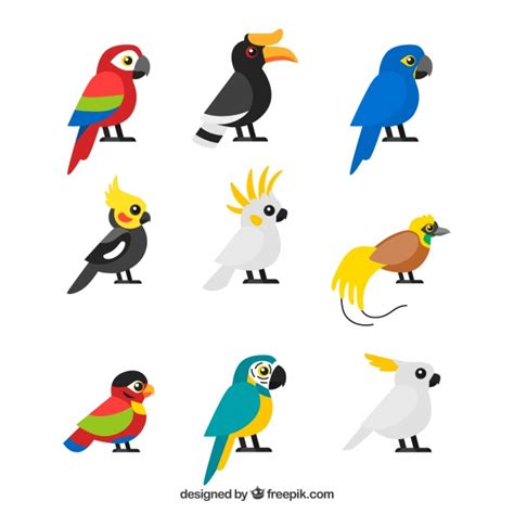 Animation, svg, animated, builder, creator, editor, engine, enliven, enlivenem, image, retina, scalable, snap, vector, wordpress. Parrot Images | Free Vectors, Stock Photos & PSD