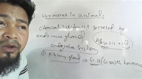 Hormones in animals - YouTube