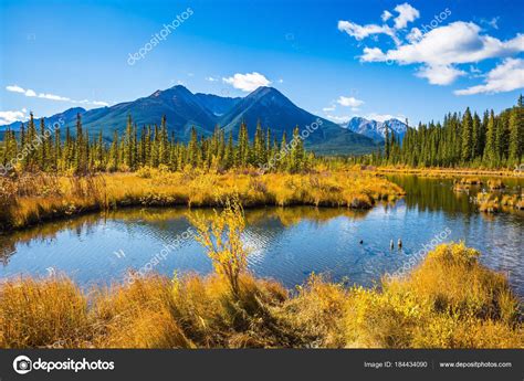 Lush Golden Autumn Lakes Vermilion Canadian Province Alberta Rocky Mountains — Stock Photo