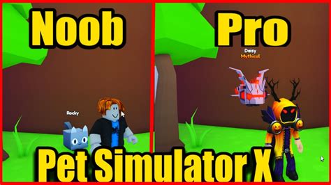 Roblox Pet Simulator X Noob To Pro Youtube