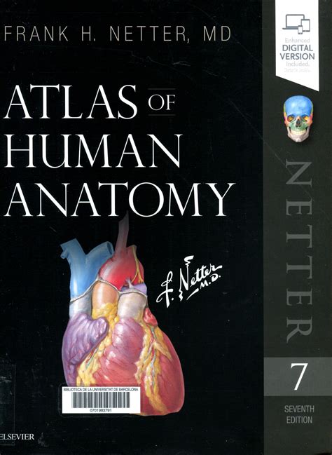 Frank Netter Anatomy Atlas ATLAS HUMAN ANATOMY NETTER DOWNLOAD Pdf Plus Netter Md S