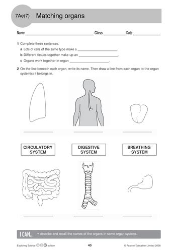 Maybe you would like to learn more about one of these? AQA KS3 YEAR 7 - INTRODUCTION TO PLANT & ANIMAL CELLS ...