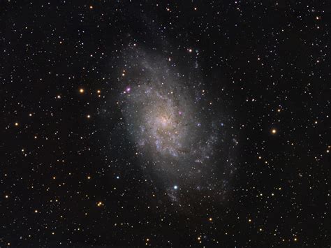 M33 Spiral Galaxy In Triangulum Lrgb Astrophotography Astrojolo