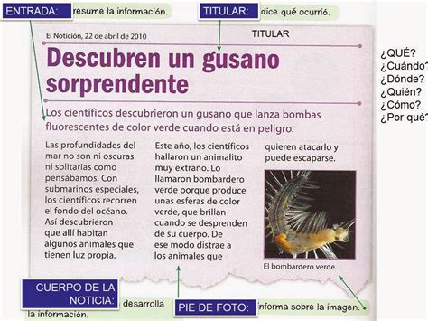 El Blog De 5ºc Escribir Una Noticia