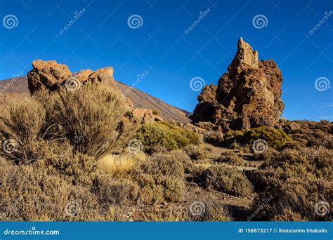 Pico Del Teide Tenerife Espanha Plantas E Lava Imagem De Stock Imagem De Areia Lavanda