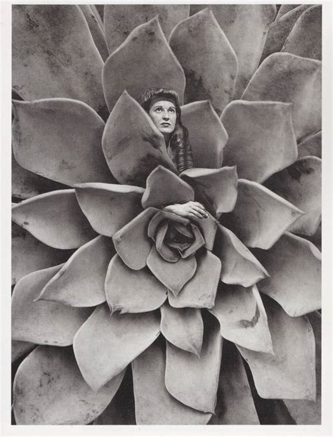 Succulent Woman Collage By Deborah Stevenson Saatchi Art