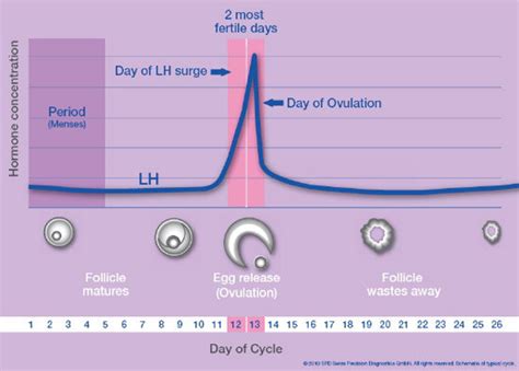 Clearblue Easy Digital Ovulation Test 7 Count Packaging