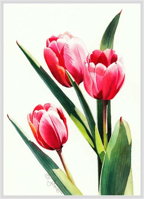 Jacqueline Gnott Watercolor Painting Of Three Tulips Watercolor