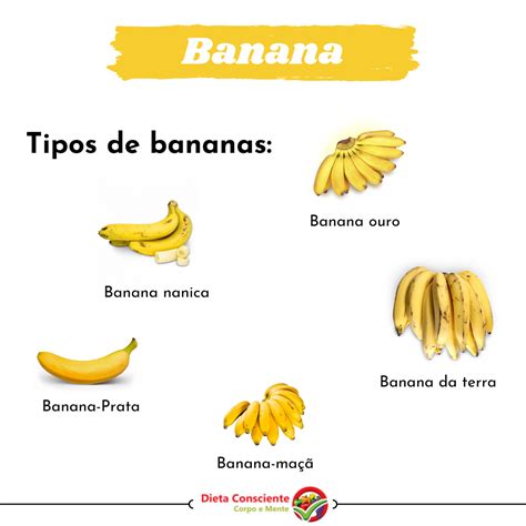 Tipos De Bananas Banana Fruit Food