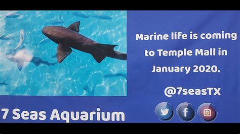 Temple Aquarium Attraction Coming To The Mall
