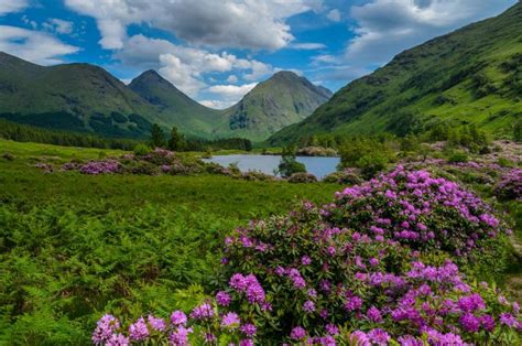 Private Glencoe Highlands Tour Discreet Scotland Tours