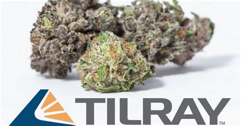 Tilray Secures Medical Cannabis Authorisation In Portugal ...