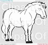 Outline Horse Strong Coloring Clipart Illustration Clip Rf Royalty Lal Perera sketch template