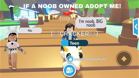 If A Noob Owned Adopt Meroblox Youtube