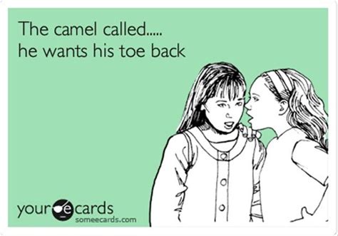 Funny Someecards Dump A Day