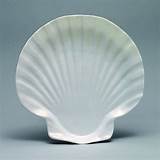Images of Shell Paper Plates