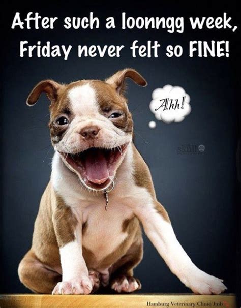 70 funny friday memes | best tgif meme for the weekend. Image by Heidi Lacy on FRIDAY | Its friday quotes, Happy ...