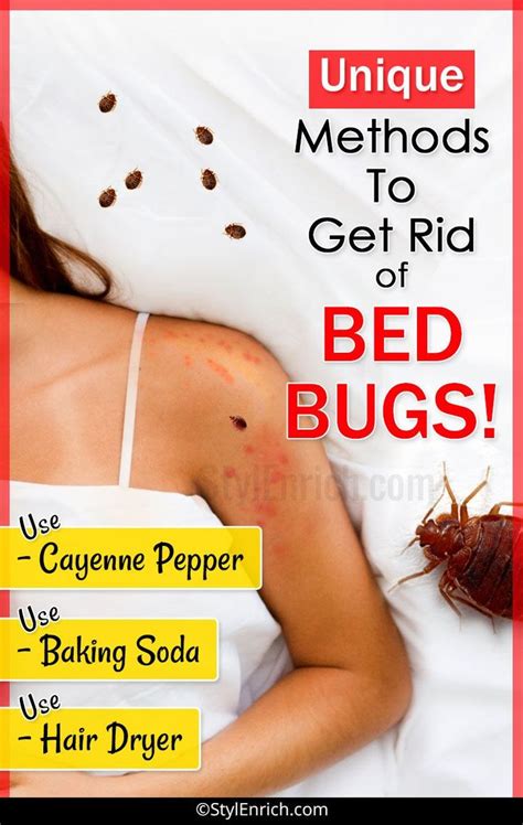 how to get rid of bed bugs rid of bed bugs bed bug spray bed bug remedies