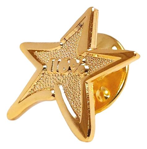 Star 110 Lapel Pin Custom Printed Promotional Products