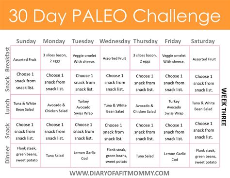 30 Day Paleo Challenge Diary Of A Fit Mommy Bloglovin