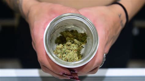 California Aprueba Ley Para Eliminar Condenas Por Marihuana Infobae