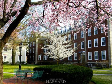 Harvard Campus Tour 15 Best Places To Visit At Harvard How To Get