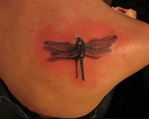 50 Elegant Dragonfly Tattoos Ideas And Designs 2018