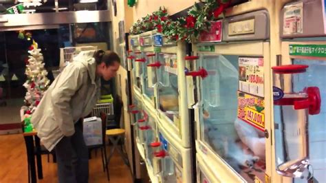 There are more dogs in stores than ever. Tokyo friendly Pet store. Puppies and kitties for $ 2000 ...