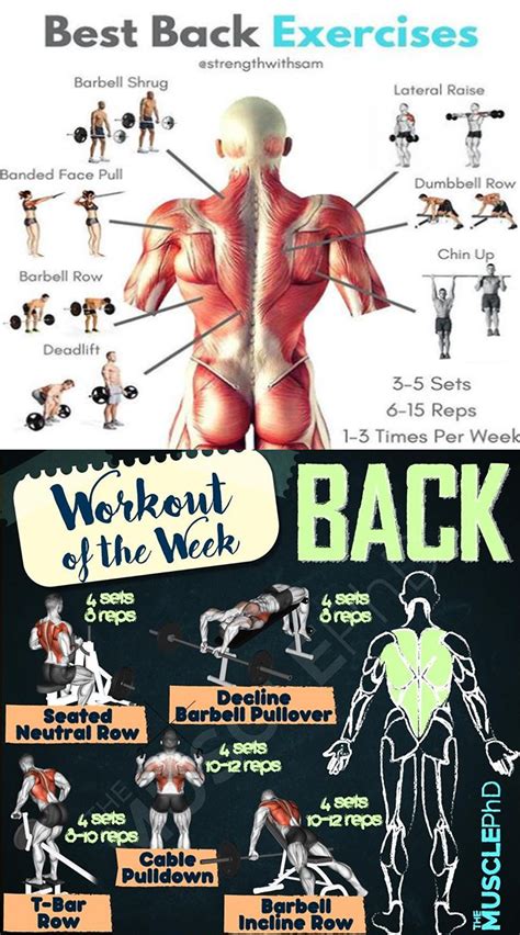 How To Chest And Back Exercises