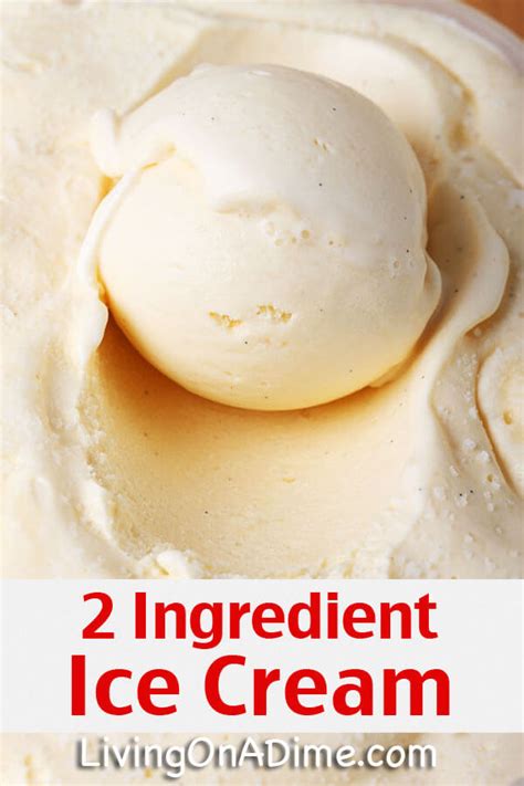 12 Easy 2 Ingredient Homemade Ice Cream Recipes