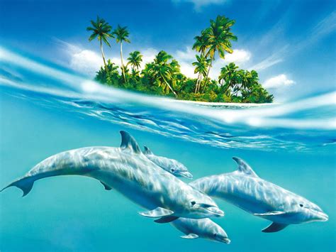 Dolphins Wallpapers High Definition Wallpaperscool Nature Wallpapers