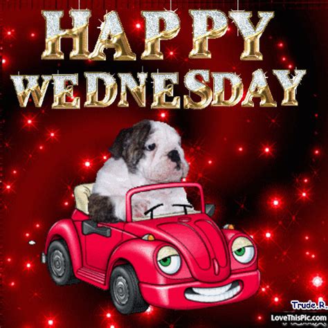 I came here to kidnap your stress, kill your strain. Cute Happy Wednesday Gif Pictures, Photos, and Images for ...