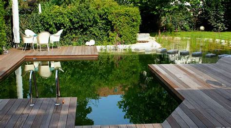 All About Natural Swimming Pools Green Home Guide Ecohome