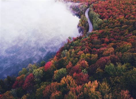 Wallpaper Road Autumn Fog Trees Hd Widescreen High Definition