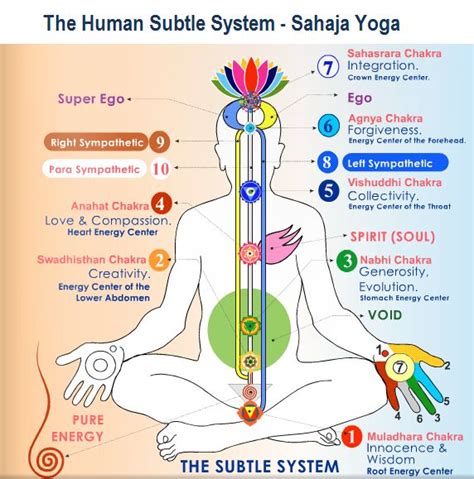 The Kundalini System And The Chakras Tantric Yoga Sahaja Yoga Sahaja Yoga Meditation