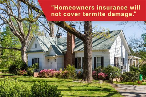 Does Homeowners Insurance Cover Termite Damage Dodson Pest Control