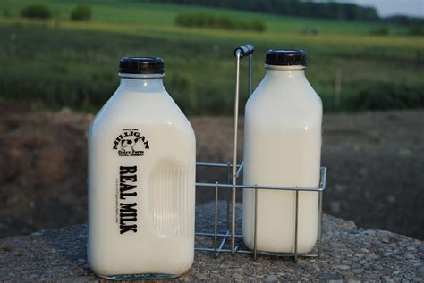 Milligan Dairy Farm Milk Bottles