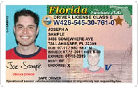 What Id Cards Do I Need To Vote In Florida Sarasota Fl Patch