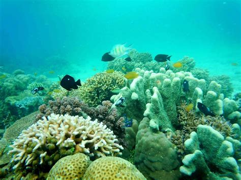 Adapun beberapa gambar pemandangan alam pantai yang sangat indah bisa kalian lihat seperti beberapa gambar berikut : MIKO TRAVELING: Eksotisme Gusung Pasir dan Keindahan ...