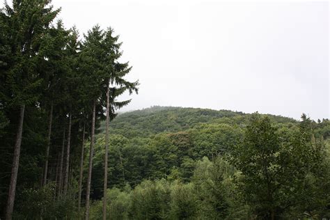 Filemilešovka 837 M Pohled Z Lesa Na úpatí Wikimedia Commons