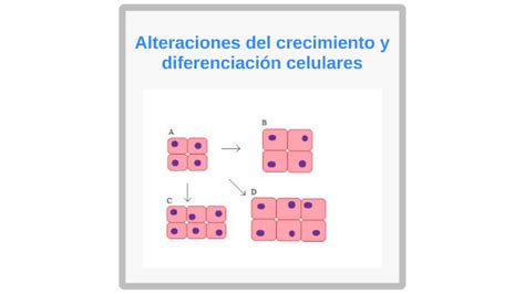 Alteraciones Del Crecimiento Y Diferenciación Celulares By Martin Osuna